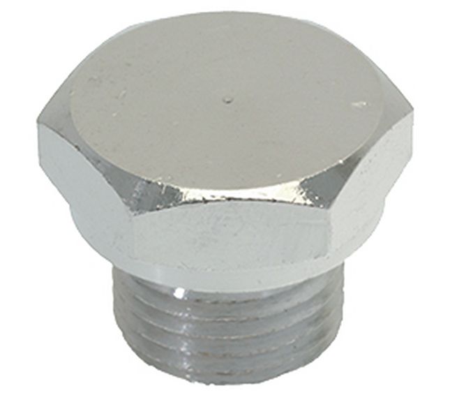 Brasilia / Faema Cap Ø 16 MM For Brew Group