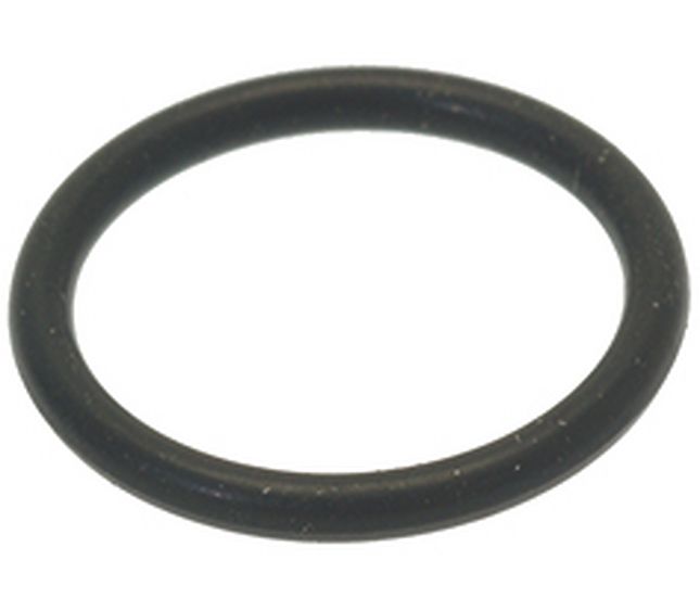 La Spaziale Orm Gasket 0160 - 20 EPDM