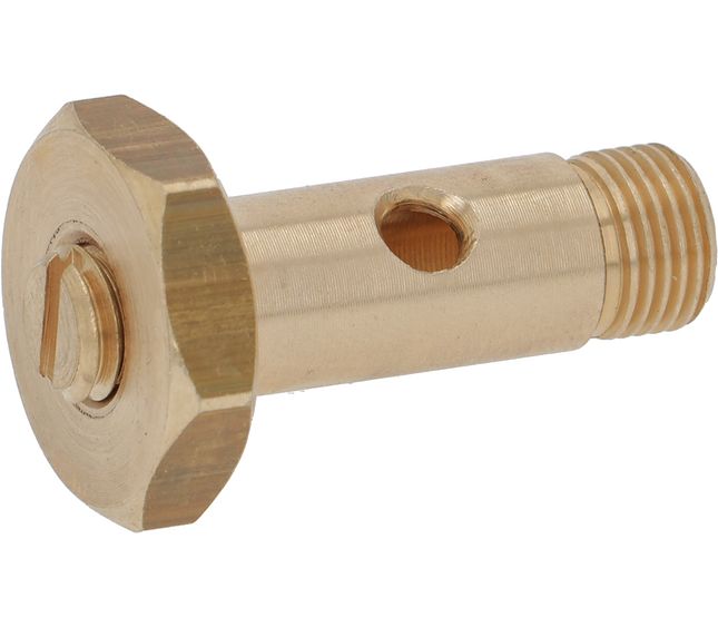 Brasilia Articulation Screw