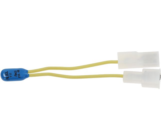 Gaggia Thermal Protection 110°c