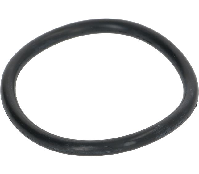 Bezzera / La San Marco Gasket For Water Softener Cap