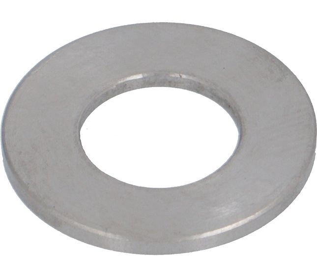 Faema Flat Washer M7