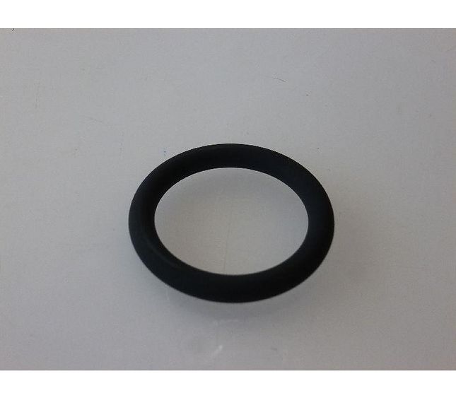 Faema Gasket or 06125 FKM
