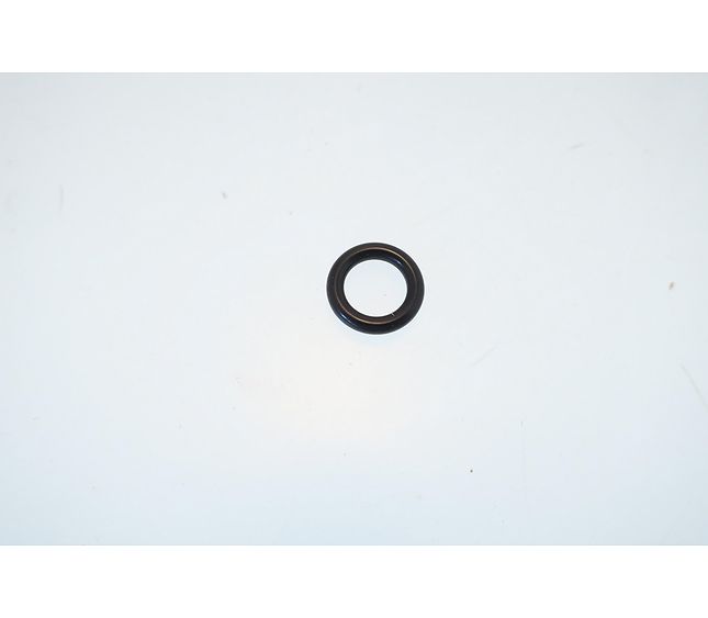 Faema Gasket or 9,13X2,62 NF
