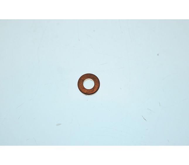 Faema Gasket Rame So5 5 1/8