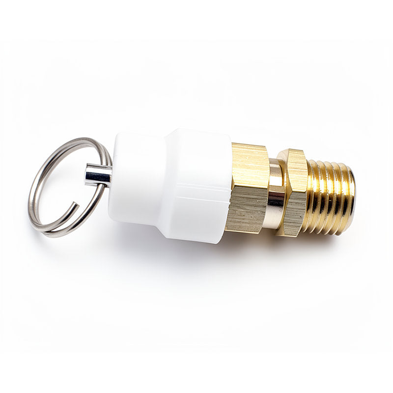 NECTA SAFETY VALVE 2.5 BAR