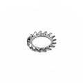 M12 Serrated Washer - commercial coffee spare part