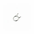 NECTA HOSE CLAMP