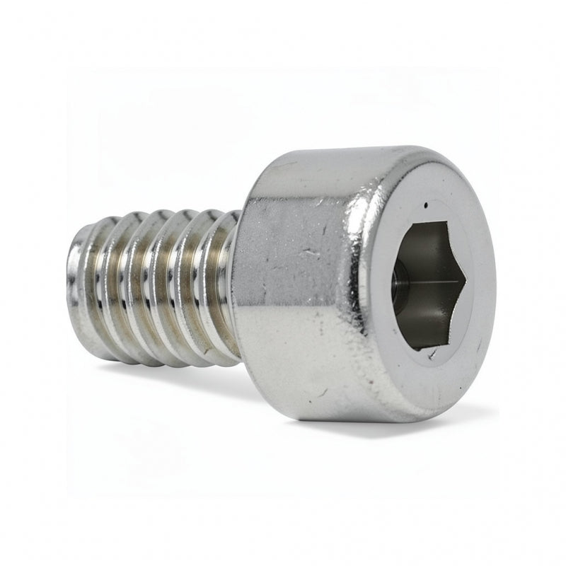 S/S HEX SCREW M4 X 6MM