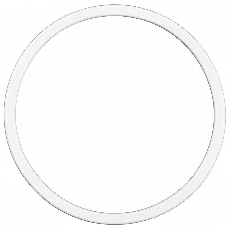 RANCILIO BOILER GASKET