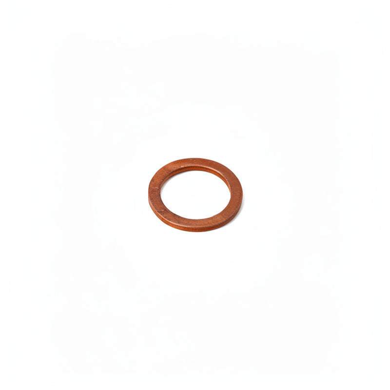 RANCILIO SAFETY VALVE TEFLON GASKET