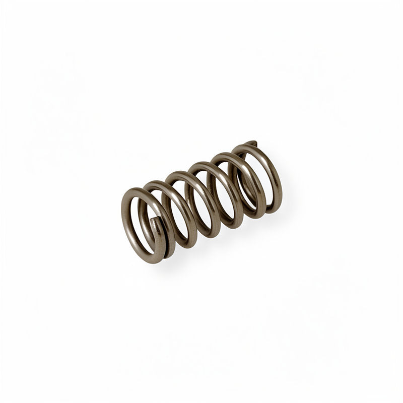 RANCILIO VALVE SPRING