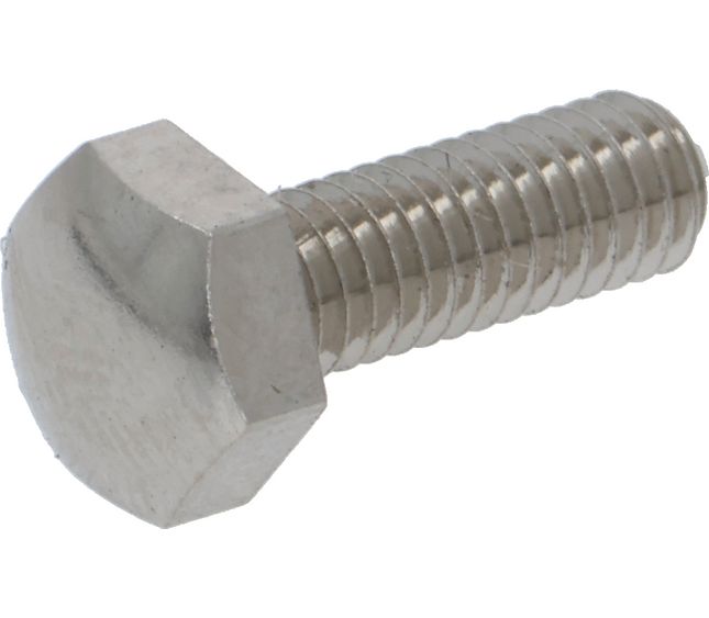 Wega M4x12 Nickel-plated Brass Hex Head Screw