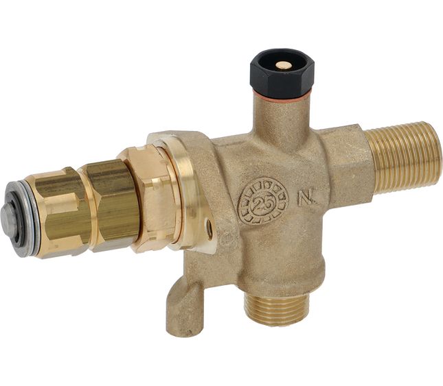Rancilio Steam Tap With Vent
