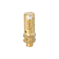 VA 1/4 SAFETY VALVE 3.0 BAR