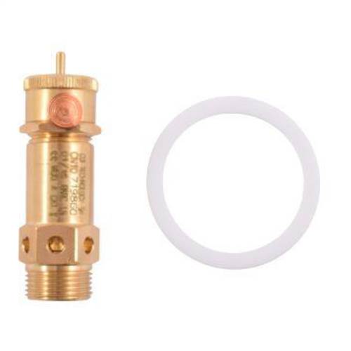 Boiler Inspection Kit - Gaggia D90/Evo/Xd/E - commercial coffee spare part