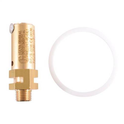 Boiler Inspection Kit - Casadio/Faema - commercial coffee spare part