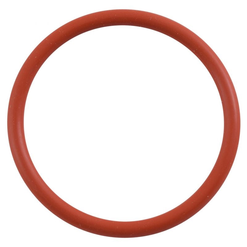 Coffetek Brewer Piston Seal 34X3,53 Orsi 31 O-Ring Seal - commercial coffee spare part
