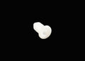 Coffetek Cap Hopper – genuine Coffetek part 09720030