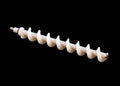 Coffetek Plastic Auger – genuine Coffetek part 59025