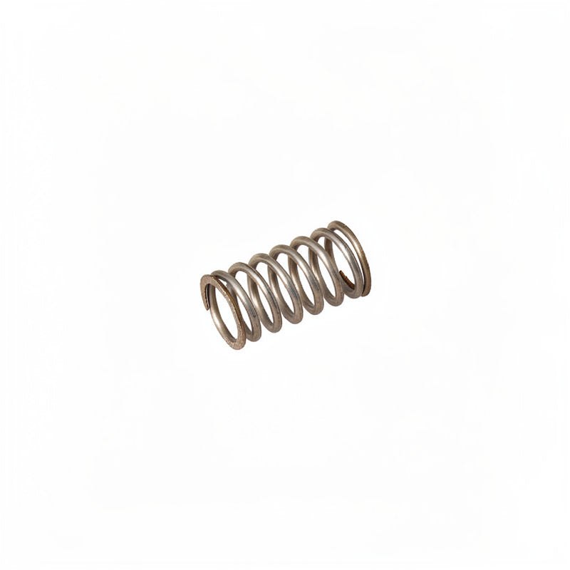 FRACINO SAFETY VALVE SPRING