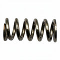 FRACINO STEAM TUBE SPRING