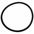 O RING 53.83 X 48.59 X 2.62MM - EPDM