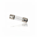 10A SLOW GLASS FUSE - 5 X 20MM