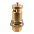 Safety Valve 19MM  - Pn: GA17014 - commercial coffee spare part
