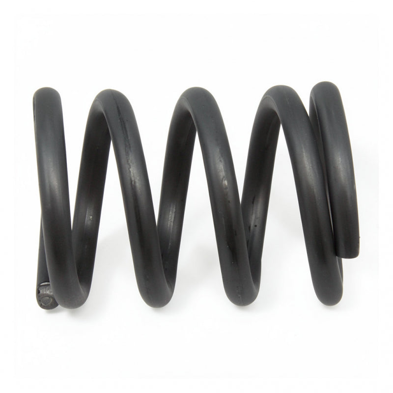 STEAM TUBE SPRING