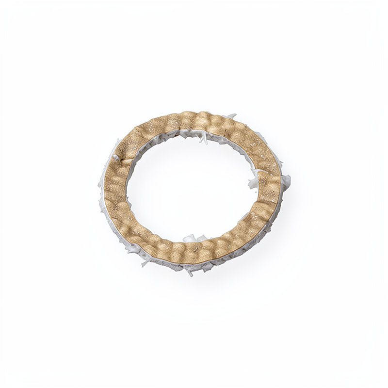 GAGGIA LEVER GRP GASKET
