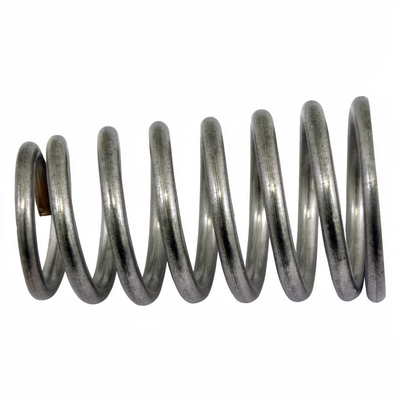 S/S VALVE SPRING