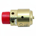 SAFETY VALVE 25PSI