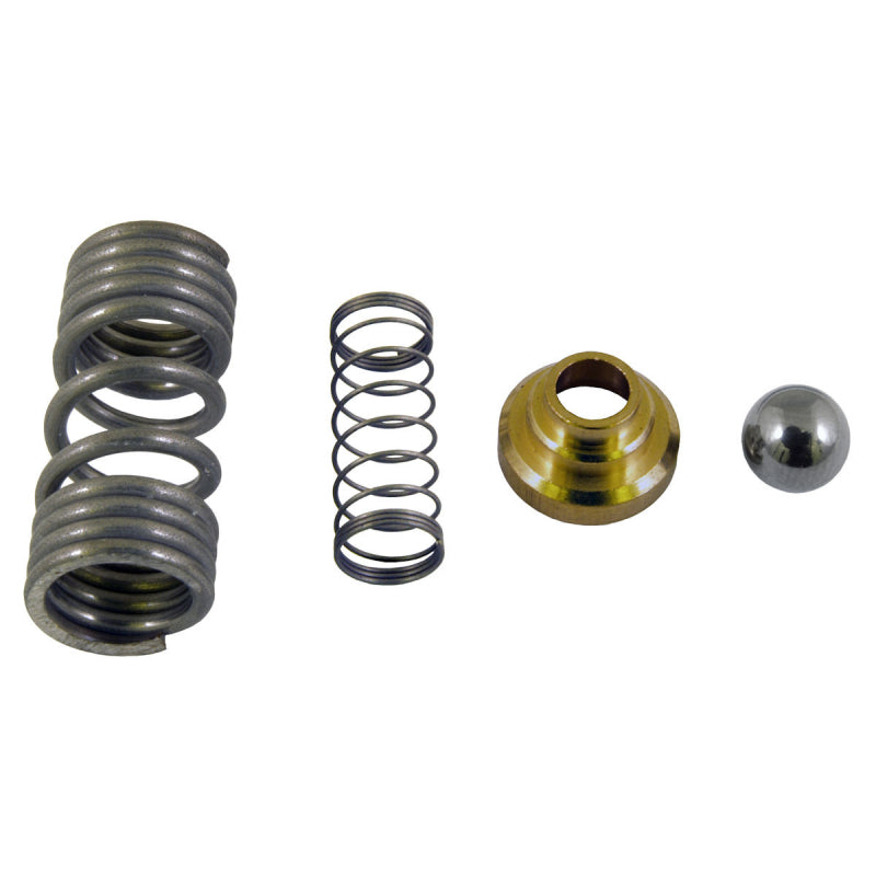 BRASILIA STEAM TUBE NON RETURN VALVE KIT - ROMA