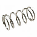 VALVE SPRING