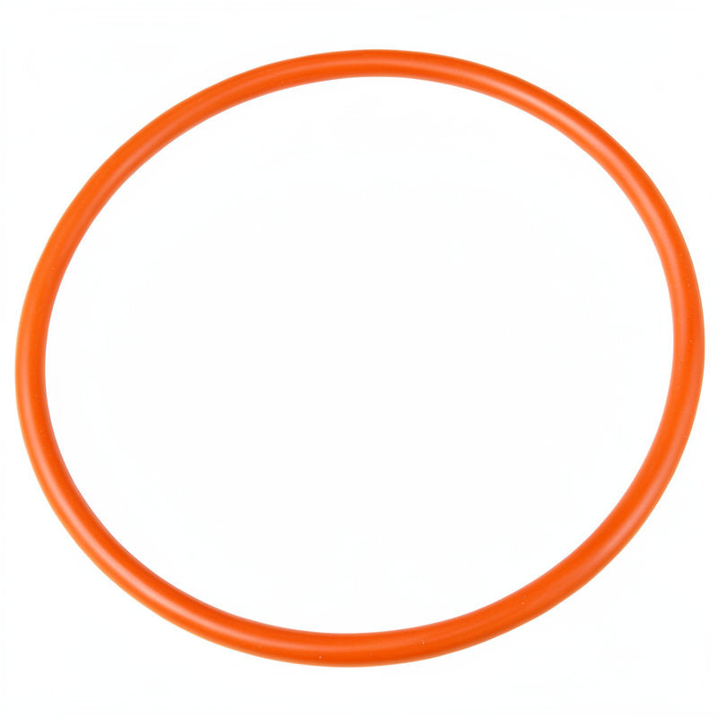MARCO O RING CLEANOUT DOOR