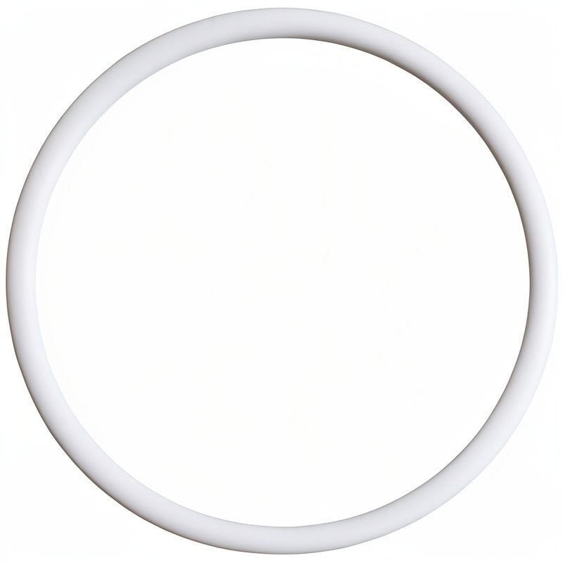 PTFE ELEMENT GASKET 75.8 X 68.4 X 3.2MM