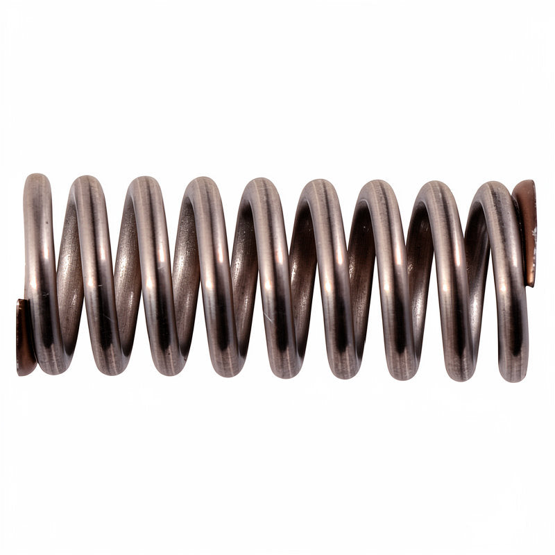 CIMBALI / FAEMA STAINLESS STEEL SPRING