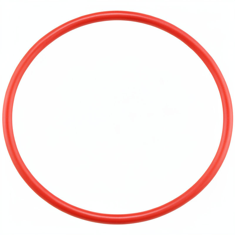 CIMBALI / FAEMA LIP SEAL