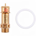 BOILER INSPECTION KIT - GAGGIA D90/EVO/XD/E