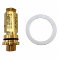 BOILER INSPECTION KIT - RANCILIO/PROMAC