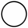 O RING 63.81 X 56.75 X 3.53MM - EPDM