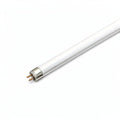 NECTA LAMP