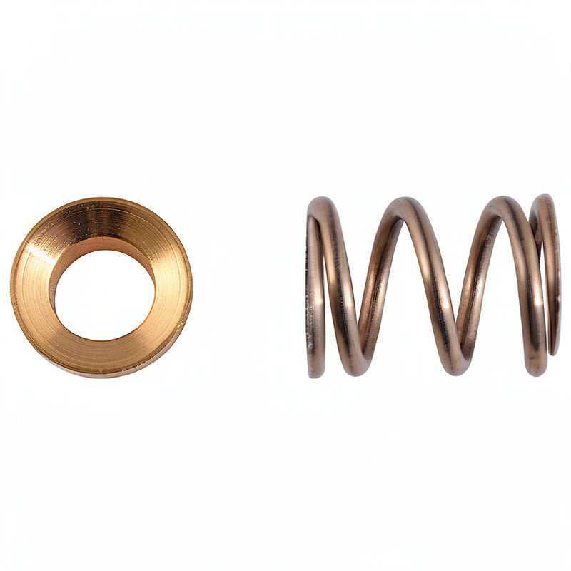 RENEKA STEAM TUBE SPRING