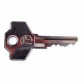 SER0000340 - RHEA KEY 3374