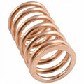 250008024 - RHEA UPPER FILTER SPRING