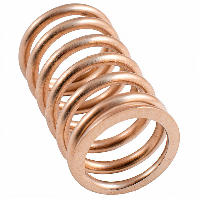 250008024 - RHEA UPPER FILTER SPRING