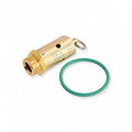 BOILER INSPECTION KIT - RENEKA VIVA