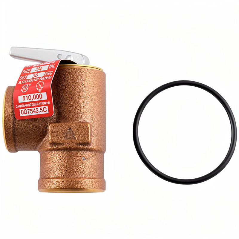 BOILER INSPECTION KIT - RENEKA LIFE