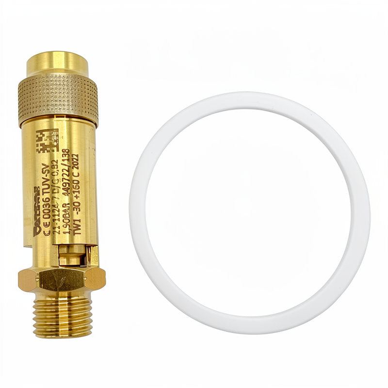 BOILER INSPECTION KIT - CASADIO/FAEMA